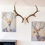 Apartment Haus Kindler