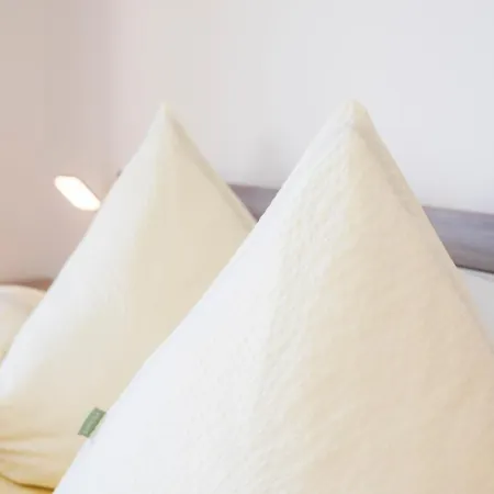 Haus Kindler * Radstadt