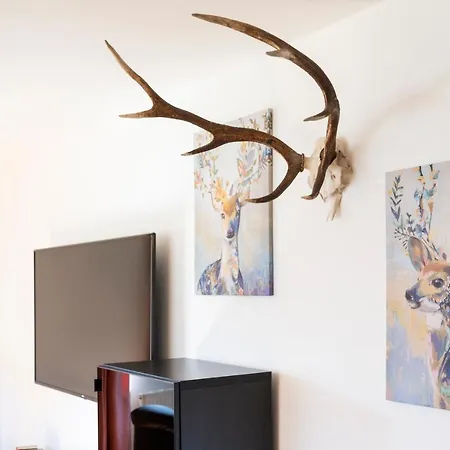 Apartment Haus Kindler Radstadt